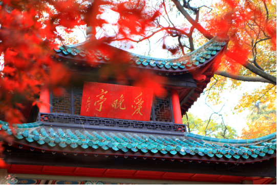 &#20061;&#28216;&#24179;&#21488;&#45;&#20061;&#28216;&#40;&#20013;&#22269;&#41;&#19968;&#31449;&#24335;&#26381;&#21153;&#24179;&#21488;